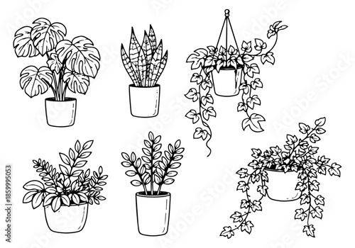 Hand drawn houseplant set featuring monstera, snake plant, and trailing plants for interior decoration