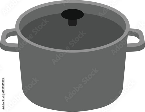 Large stock pot with lid