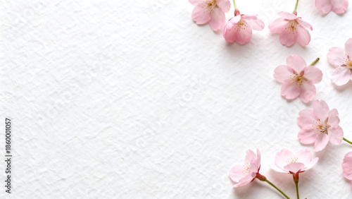 Soft pink cherry blossoms on white textured background
