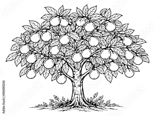 Hand drawn line art illustration of an apple tree depicting ripe fruits for farming and harvest themes