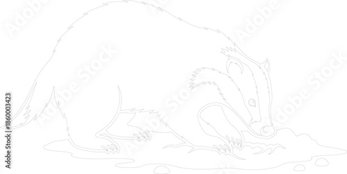 Badger Digging in Soil Line Art Vector Outline Drawing
