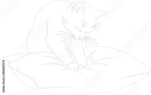 Elegant outline vector drawing of a domestic cat sitting peacefully on a fluffy cushion isolated on white