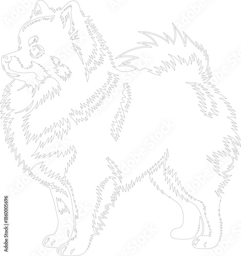 Pomeranian Dog Outline Vector Illustration Detailed fluffy fur line art drawing of a standing Spitz breed pet Black and white graphic element