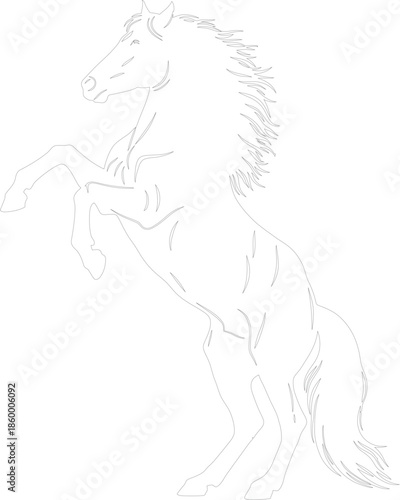 Majestic Rearing Horse Line Art Vector Outline Drawing