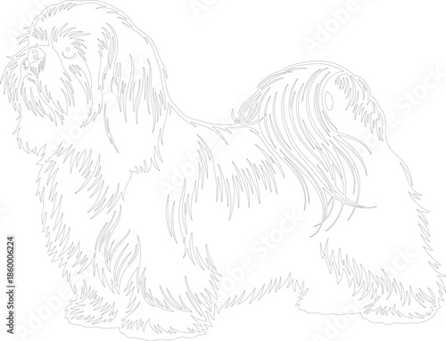 Lhasa Apso or Shih Tzu Dog Outline Vector Illustration Standing Profile View Fluffy Long Hair Line Art Template