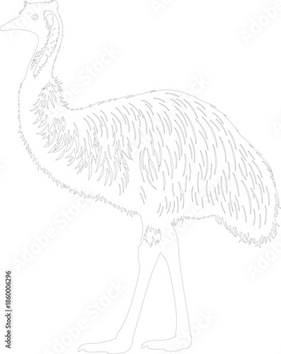 Emu Line Art Black and White Vector Illustration for Coloring Book or Graphic Design