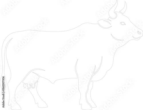 Simple Cow Outline Vector Illustration Continuous Line Art Dairy Cattle Drawing