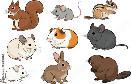 Cute collection of small mammals and rodents including squirrel mouse guinea pig rabbit beaver chipmunk and chinchilla characters for nature wildlife vector illustration