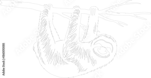 Cute Sloth Hanging Upside Down on Tree Branch Black and White Line Art Illustration
