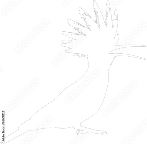 Hoopoe Bird Outline Vector Illustration Elegant Contour Line Art Drawing