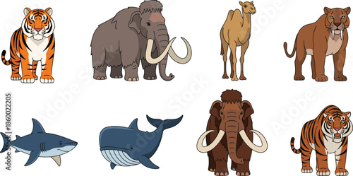Wild animal vector collection featuring tiger mammoth camel saber tooth shark and whale illustrations isolated on white background for educational design projects