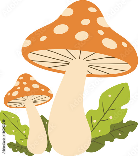 Two Orange and White Spotted Mushrooms with Green Leaves fungi toadstool