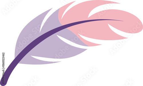 Two-toned purple and pink feather on white background quill bird