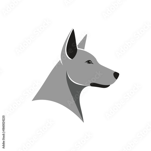 Elegant gray dog head profile, showcasing attentive gaze and sharp features.