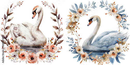 swan with flowers wreath watercolor vector illustration