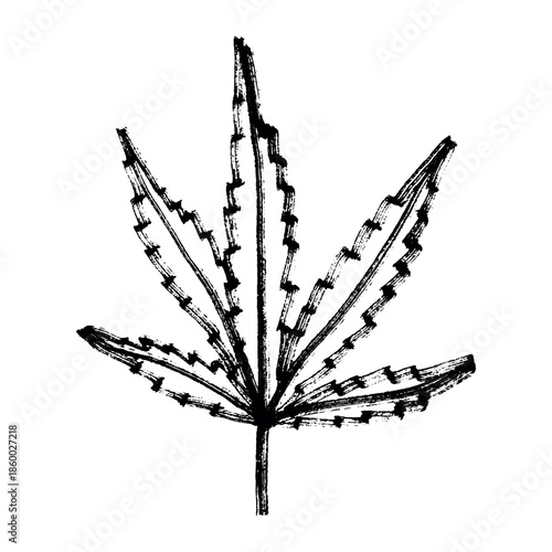 Hand drawn cannabis leaf Medicine marijuana Hemp leaves clipart in doodle style Single element for print, web, design, decor
