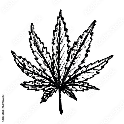 Hand drawn cannabis leaf Medicine marijuana Hemp leaves clipart in doodle style Single element for print, web, design, decor