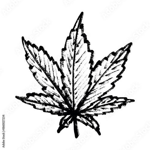 Hand drawn cannabis leaf Medicine marijuana Hemp leaves clipart in doodle style Single element for print, web, design, decor