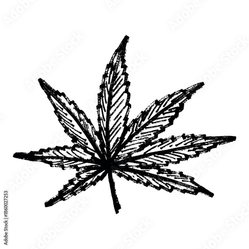 Hand drawn cannabis leaf Medicine marijuana Hemp leaves clipart in doodle style Single element for print, web, design, decor