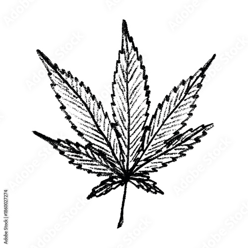 Hand drawn cannabis leaf Medicine marijuana Hemp leaves clipart in doodle style Single element for print, web, design, decor