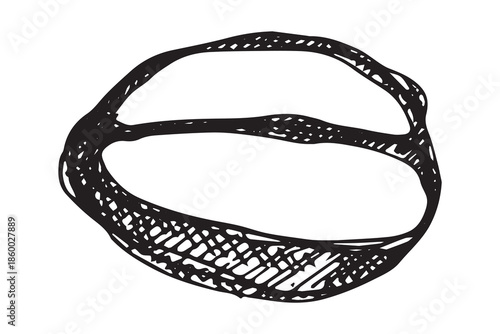 Hand drawn fresh roasted coffee bean Arabica robusta seed doodle Single element for print, web, design, decor