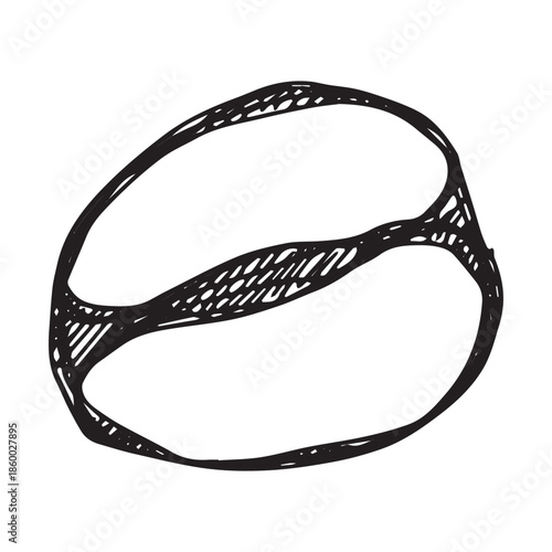Hand drawn fresh roasted coffee bean Arabica robusta seed doodle Single element for print, web, design, decor