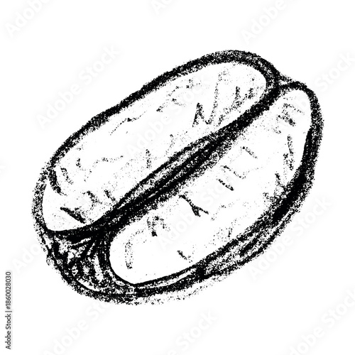 Hand drawn fresh roasted coffee bean Arabica robusta seed doodle Single element for print, web, design, decor