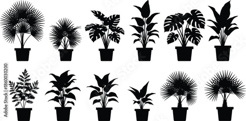 Set of potted house plant silhouettes with tropical leaves and fan palms, indoor garden collection, cad drawing flat vector illustration