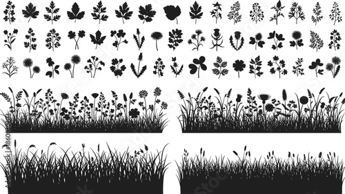 Set of meadow grass borders and wild flower silhouettes, botanical leaf icons collection, nature field background, cad drawing flat vector illustration