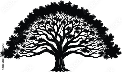 Big old oak tree black silhouette with spreading branches and roots, isolated nature plant icon, cad drawing flat vector illustration