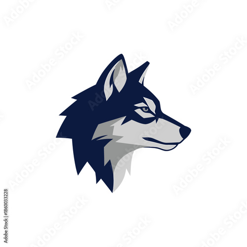 Intense gaze of a majestic wolf, a symbol of wild nature and strength.