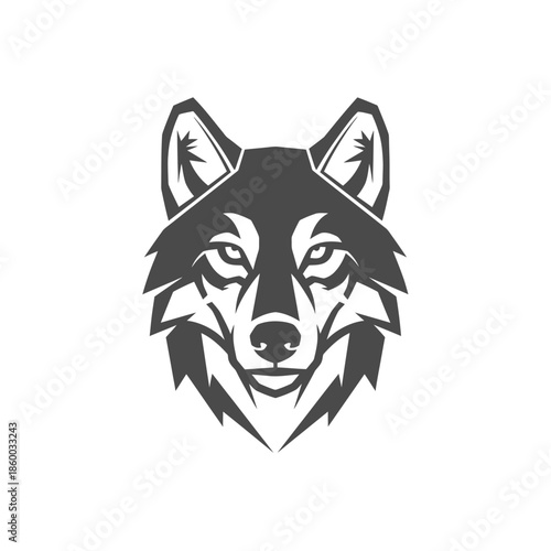 Intense gaze of a majestic wolf, a symbol of wilderness and strength.