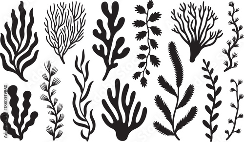 Collection of various black coral silhouettes on white background