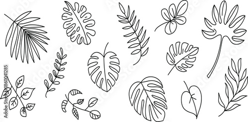 Tropical leaf vector set, hand drawn black line art illustration of monstera, palm, and fern foliage for summer botanical design