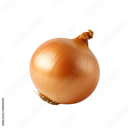 Wallpaper Mural Single brown onion isolated on transparent background Torontodigital.ca