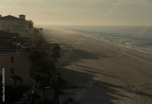 Early Morning Haze and Long Palm Shadows on Florida Beach