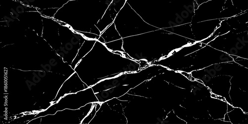 Elegant black marble texture with bold white natural veins,high-contrast abstract stone background,luxury surface pattern ideal for modern design,architecture,interiors,branding,and premium wallpapers