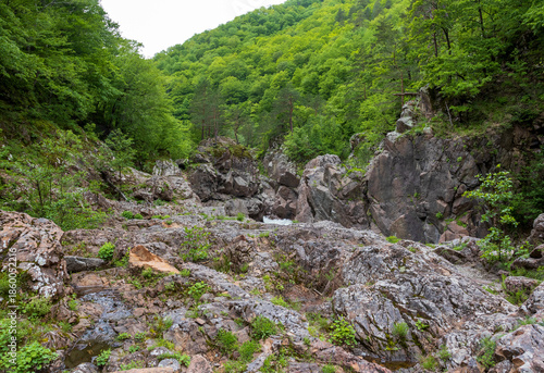Canyon walls of a mountain river with unusual stone cliffs in the summer