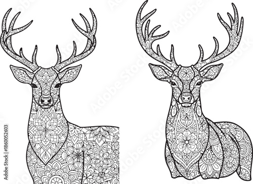 Intricate Mandala Patterned Deer Heads Facing Each Other