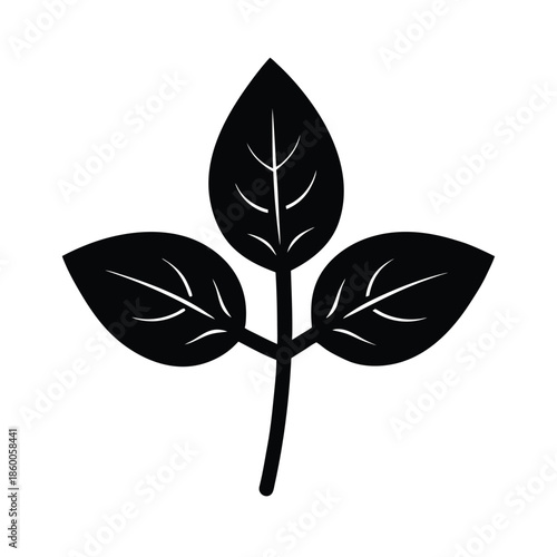 Basil Herb Sprig Icon Vector Illustration