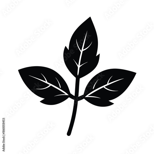 Basil Herb Sprig Icon Vector Illustration