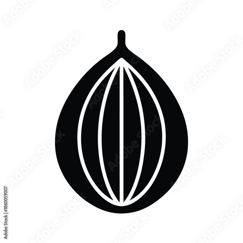 Ground Nutmeg Seeds Icon Vector Illustration