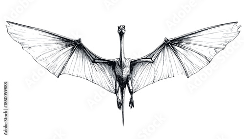 Flying Dinosaur Illustration 