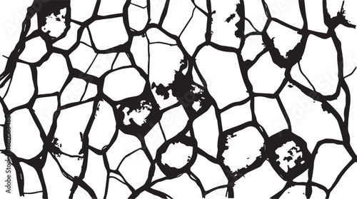 Abstract cracked stone mosaic black and white pattern

