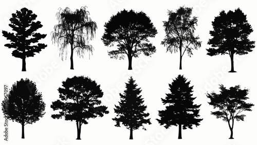 Collection of Silhouetted Trees Against a White Background.