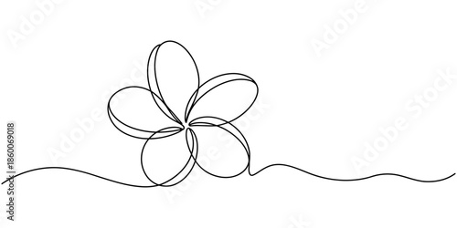 Plumeria flowers in continuous line art drawing style. Minimalist black line sketch on white background, Plumeria flowers in continuous one line art drawing. Frangipani blossom. Vector illustration.