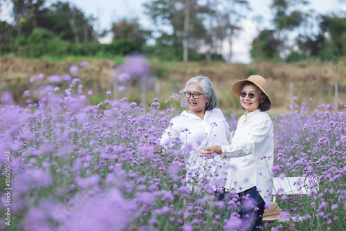 Two happy Asian senior women walking together through a purple flower field. Smiling friends enjoying active aging, healthy retirement lifestyle, outdoor leisure, freedom, and joyful moments surrounde