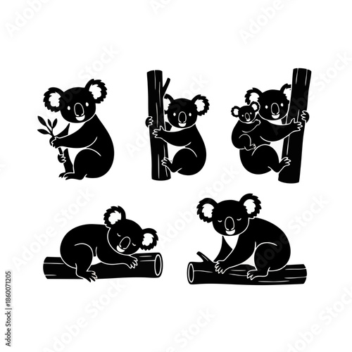 set of Australian koala