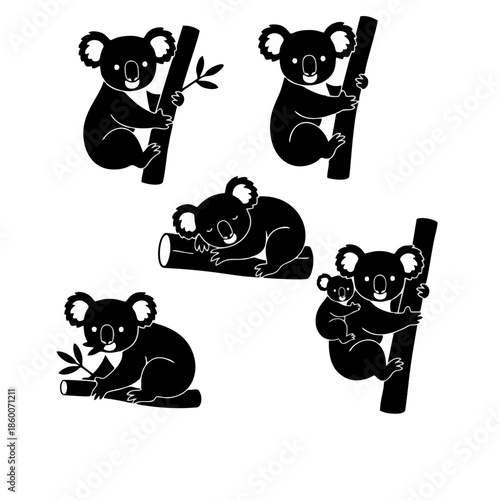 silhouette of koala Australian