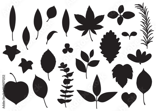 シンプルな葉っぱセット